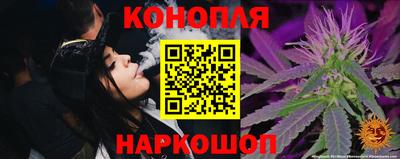 дживик Можга