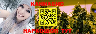 дживик Можга